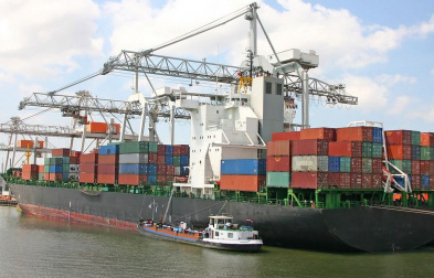 公認(rèn)進(jìn)口報(bào)關(guān)代理公司會(huì)采取哪些措施來(lái)確保報(bào)關(guān)服務(wù)的專業(yè)性？