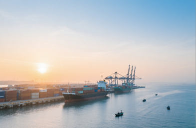 服裝進(jìn)口有高招，國(guó)際海運(yùn)貨代來助力