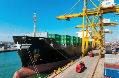 國際海運物流公司：高效運輸，縮短木材出口時空距離