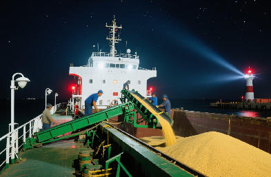 國際貨運代理：海運 / 空運 / 陸運全航線，訂艙到派送一站搞定